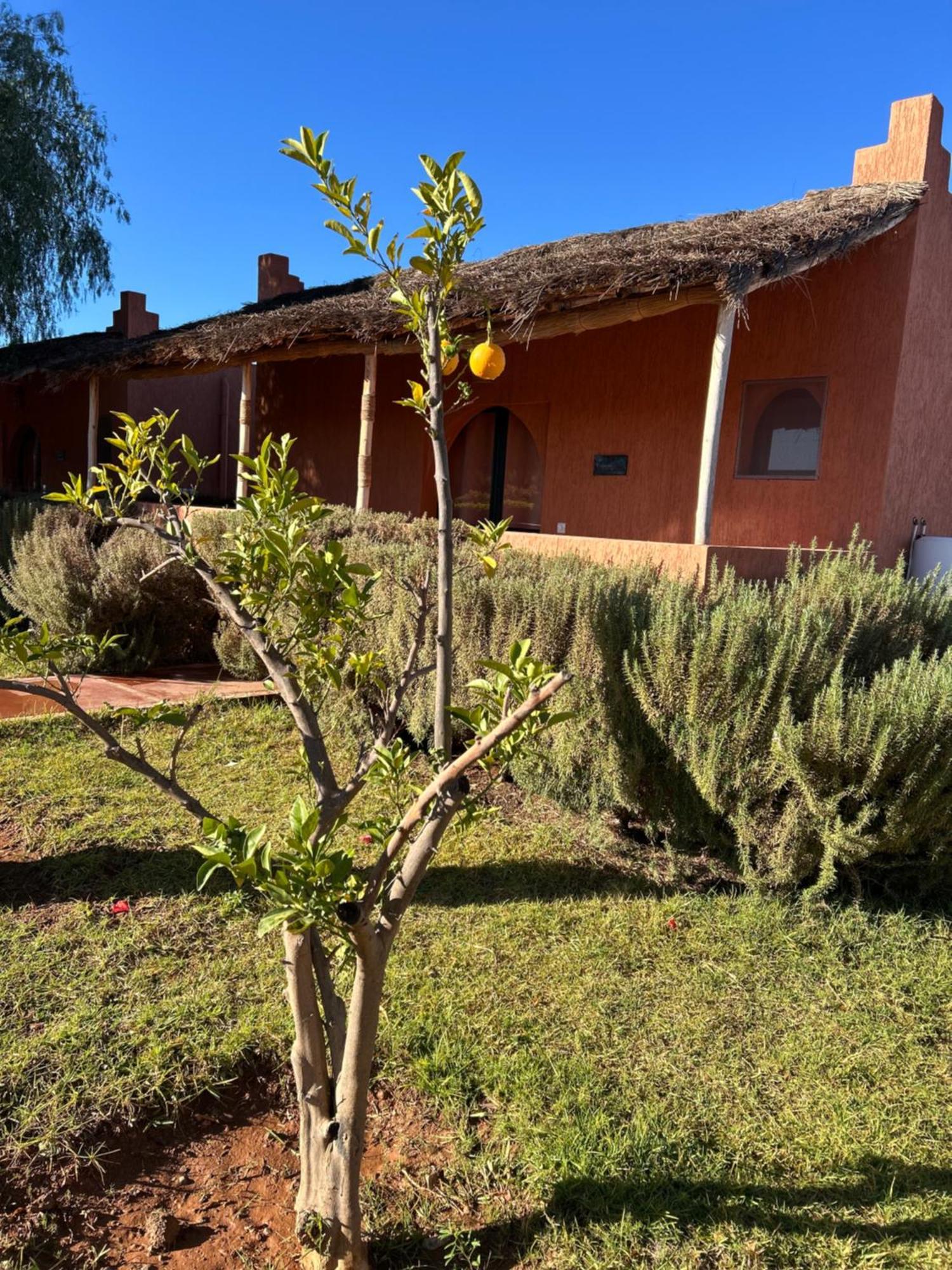 Les Orangers De L'Ourika Ξενοδοχείο Douar Akkara Εξωτερικό φωτογραφία